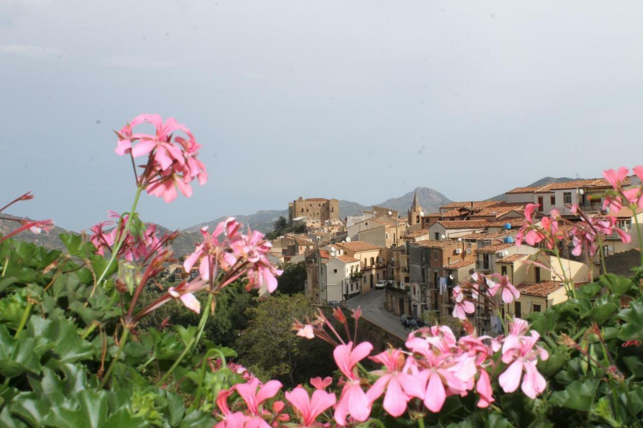 B&B Villa Letizia 卡斯特布奥诺 外观 照片